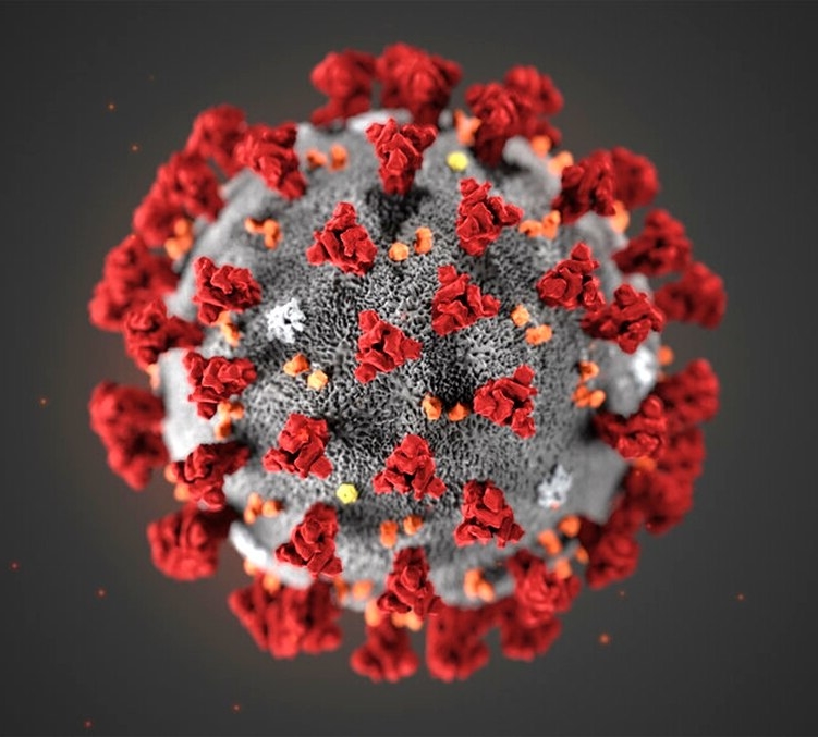 Coronavirus